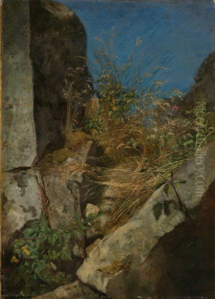 Graser zwischen Felsen - view 1