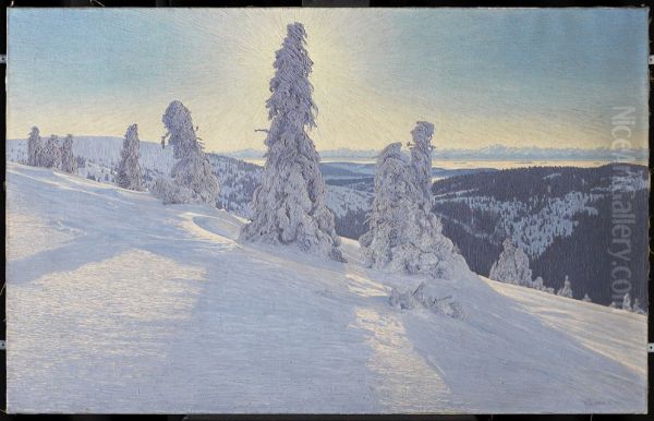 Feldbergtannen in Eis und Schnee - view 1
