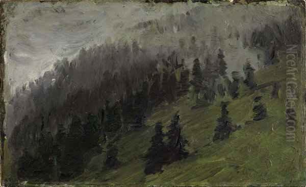 Nebel zwischen Tannen - view 1