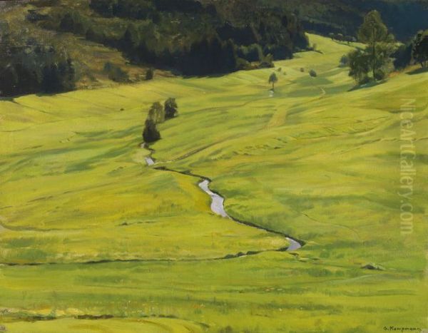 Sonniges Waldtal mit Bach - view 1