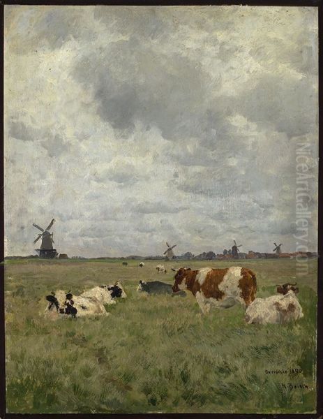 Rinder auf der Weide bei Overschie - view 1