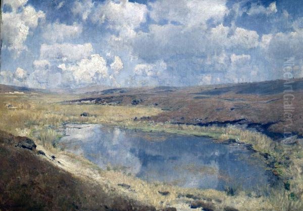 Ziehende Wolken in der Luneburger Heide - view 1