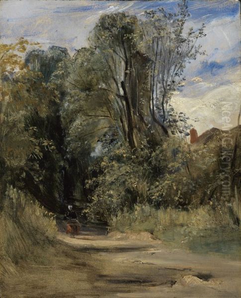 Ein Waldweg - view 1
