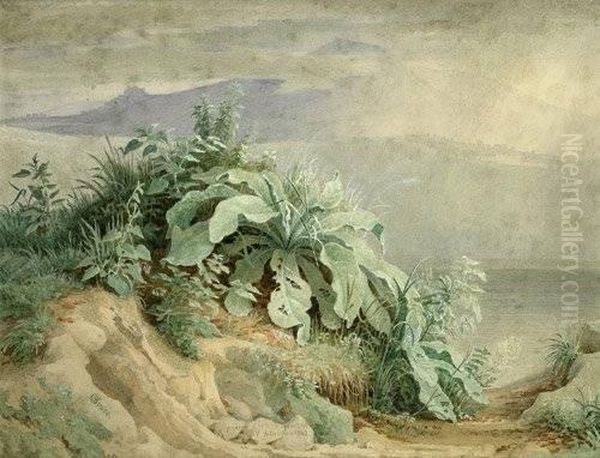 Pfanzenstudie In Der Nahe - view 1
