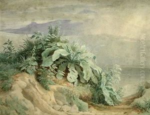 Pfanzenstudie In Der Nahe by Georg Heinrich Busse