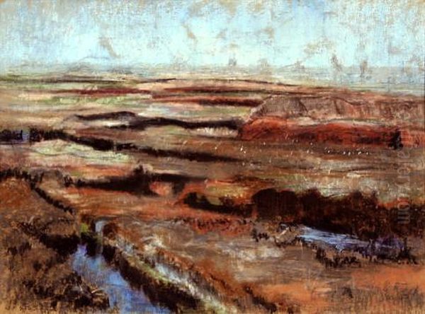 Worpsweder Moorlandschaft - view 1