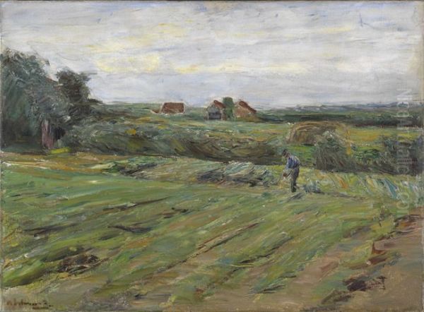 Harvest field (Erntefeld) - view 1