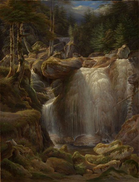 Der Triberger Wasserfall - view 1