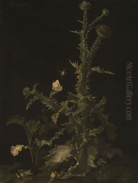 Still life with thistle, mouse, frog, snail and insects - view 1