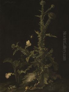 Still life with thistle, mouse, frog, snail and insects