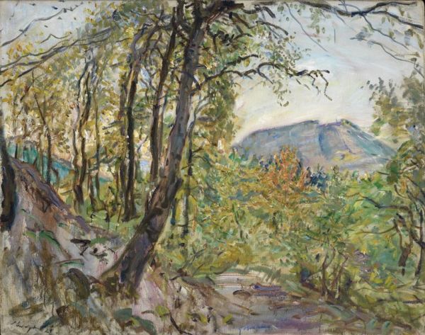 Pfalzische Landschaft - view 1