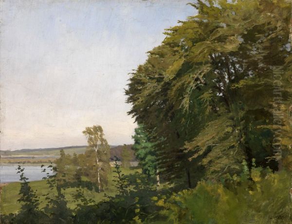 Landschaft aus Schleswig-Holstein - view 1