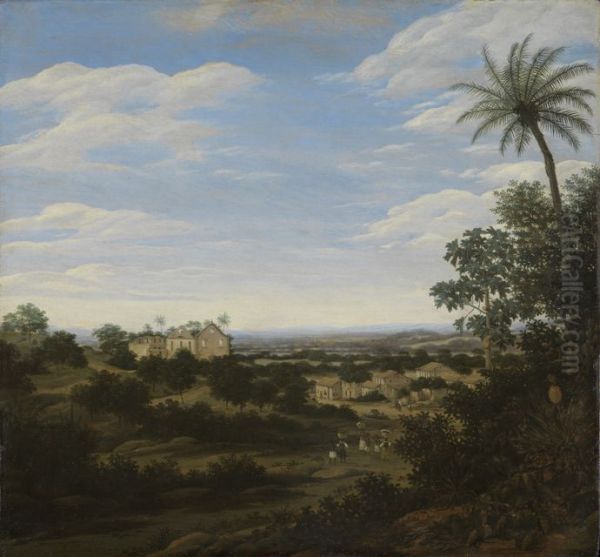Brasilianische Landschaft - view 1