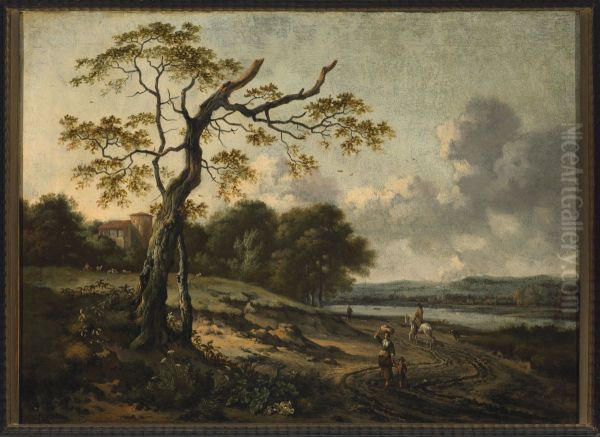 Landscape - view 1