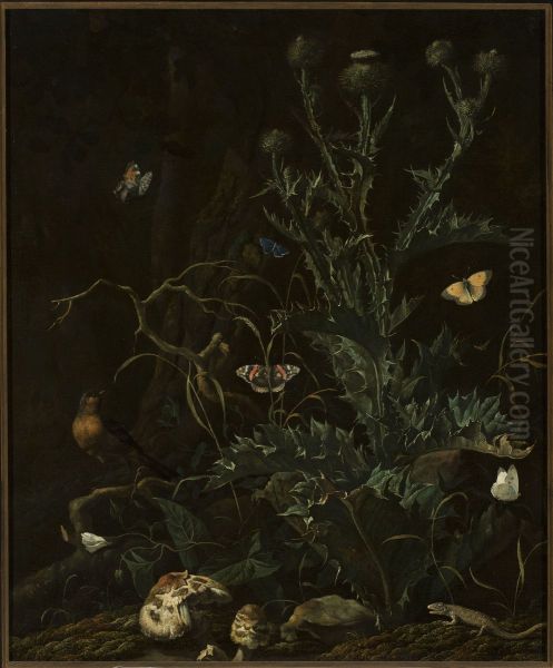 Thistles, butterflies and a lizard - view 1