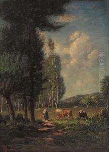 Mucche Al Pascolo