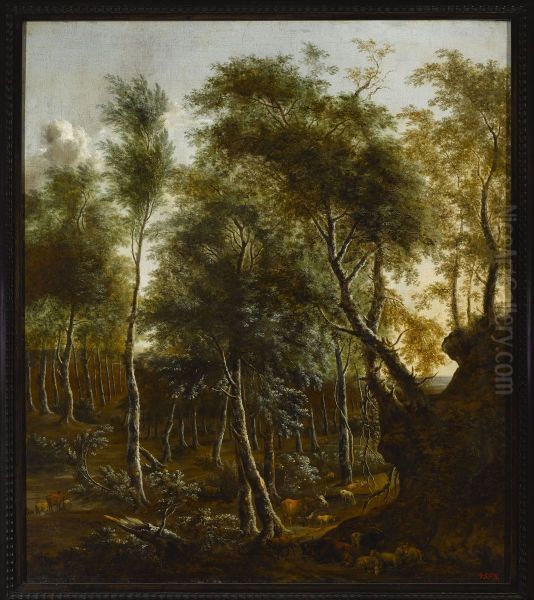 Forest landscape - view 1