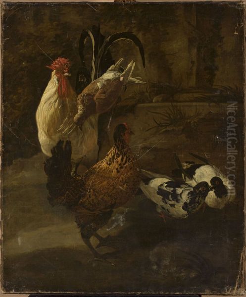 Domestic fowls - view 1