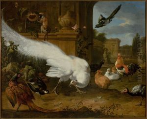 Fowls and a white peacock by Melchior D'Hondecoeter