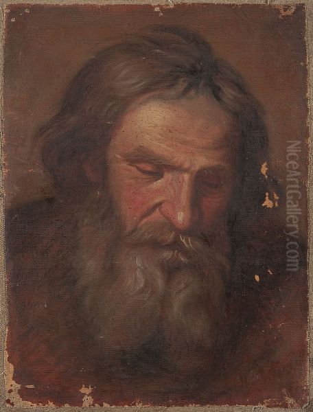 Study of an old man's head - view 1