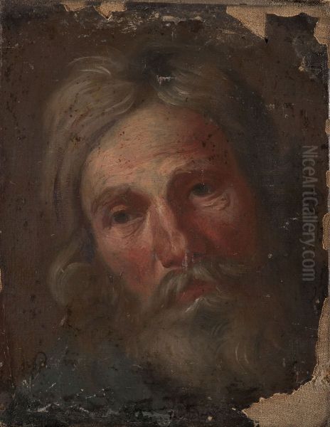 Study of an old man's head - view 1