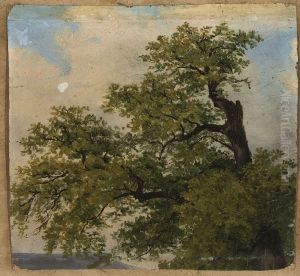 Trees Trees