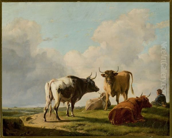 Cows in the pasture - view 1