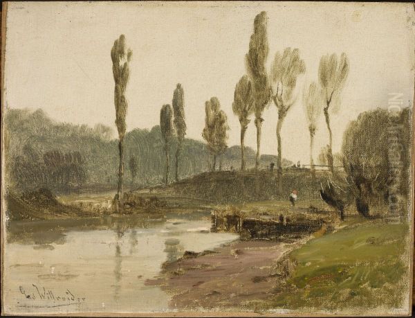 Forest landscape with water - view 1