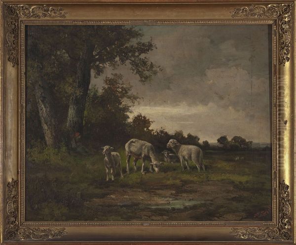Sheep in the meadow at the forest edge - view 1