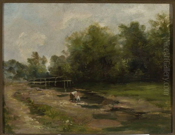 Landscape - view 1