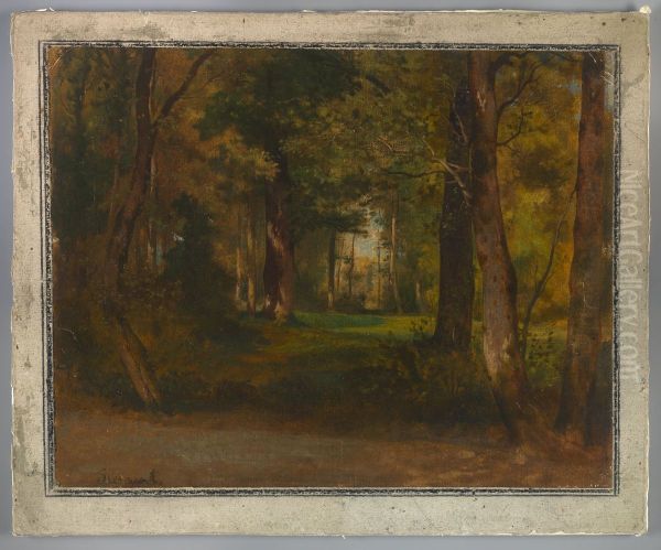 Forest - view 1