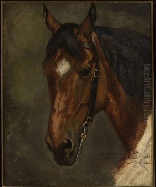 Horse's head - view 1