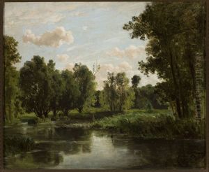 Lake in the forest