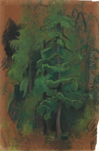 Sapin - view 1