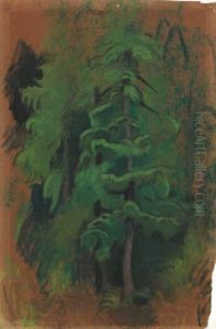 Sapin by Simon Albert Bussy