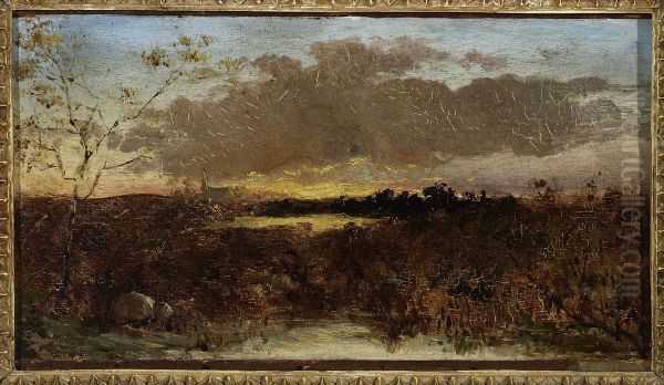 View of marshes at sunset - view 1