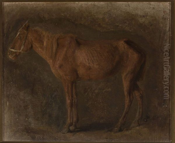 Study of a horse - view 1
