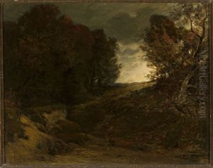 Forest landscape with a creek