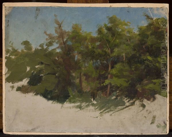 Study from Podolia - view 1
