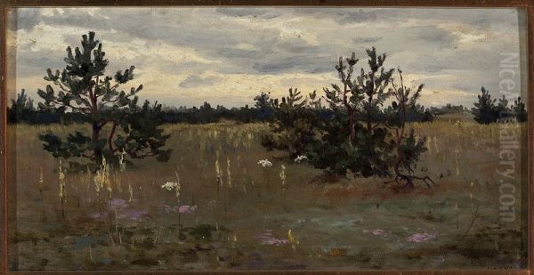 Clearing with pine trees - view 1