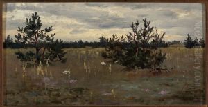 Clearing with pine trees