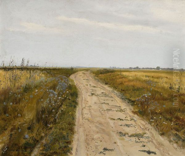 Field track - view 1