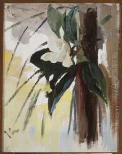 Magnolias by Jan Ciaglinski