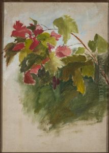 Vine leaves by Jan Ciaglinski