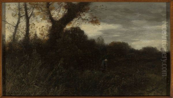 Landscape - view 1