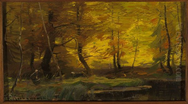 Forest landscape - view 1