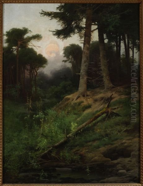 Forest landscape at sunrise - view 1