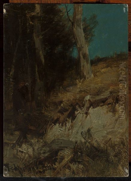 Nocturnal landscape - view 1