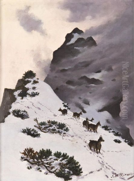 Chamois in the mountains - view 1
