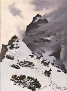 Chamois in the mountains by Stanislaw Witkiewicz